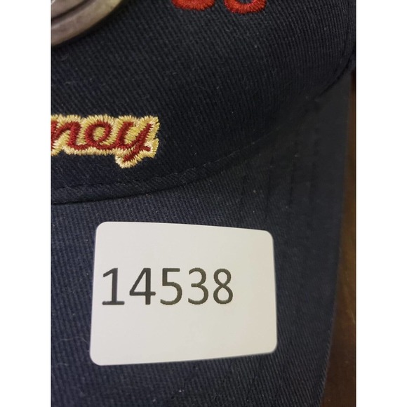 Balloon Fiesta Baseball Hat Cap Mens Adjustable One Sz Snapback Blue Cotton - Picture 8 of 8